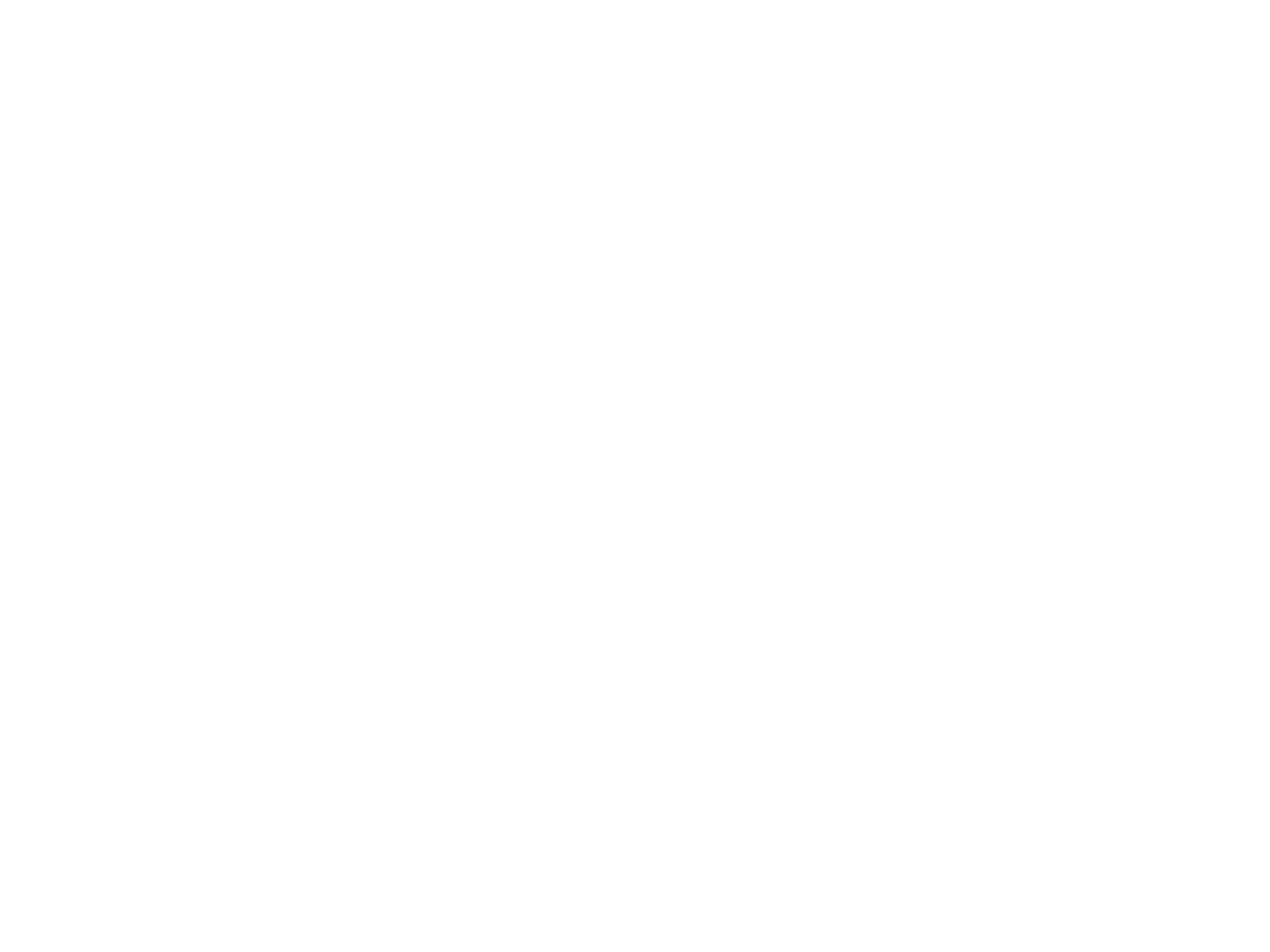 gemeente raalte
